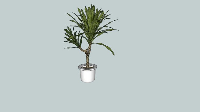 植物 sketchup植物模型 第1张