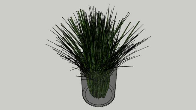 植物 sketchup植物模型 第1张