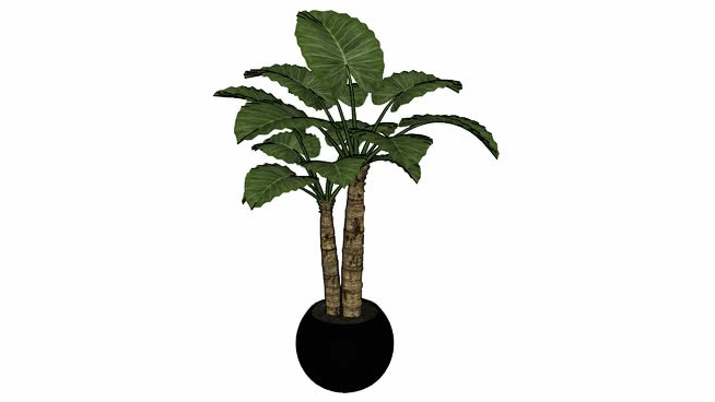 罐内植物CG 15 sketchup植物模型 第1张