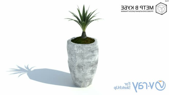 植物08 sketchup植物模型 第1张