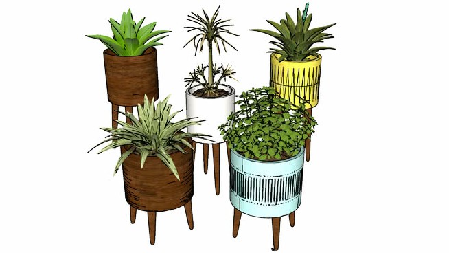 植物24—2012 sketchup植物模型 第1张