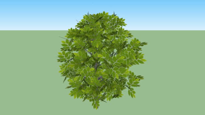 灌丛 sketchup植物模型 第1张