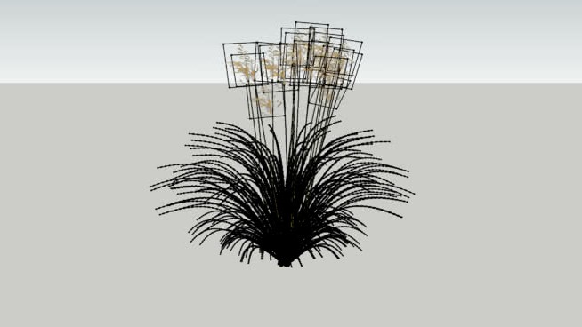 针茅gigantea 3D sketchup植物模型 第1张