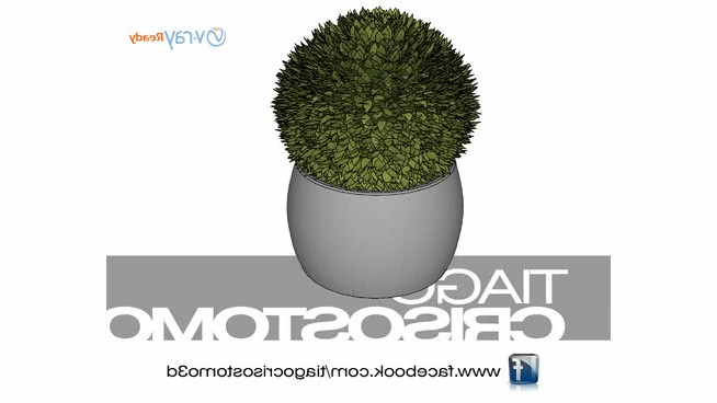 瓦西尼奥克罗马多 sketchup植物模型 第1张