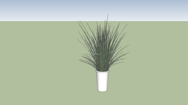 血管植物 sketchup植物模型 第1张