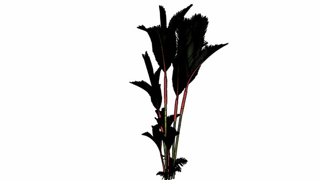 雅培6号 sketchup植物模型 第1张