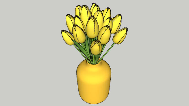黄色郁金香 sketchup植物模型 第1张