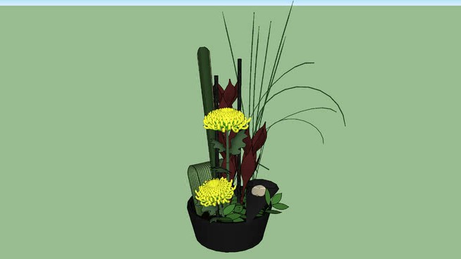 黑绿集团 sketchup植物模型 第1张