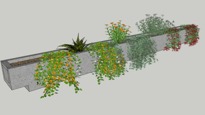 萨克勒 sketchup植物模型 第1张