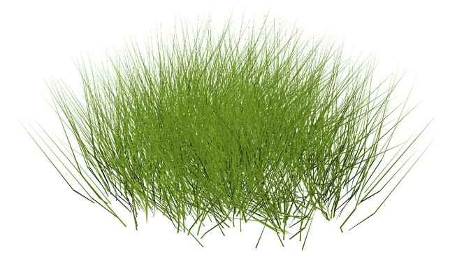 草本U22F GRAMA-U02F植物 sketchup植物模型 第1张