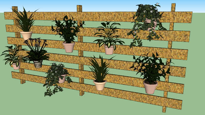 雅尔丁垂直线 sketchup植物模型 第1张