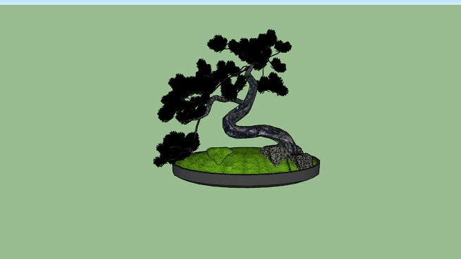 苔藓岩松树盆景 sketchup植物模型 第1张