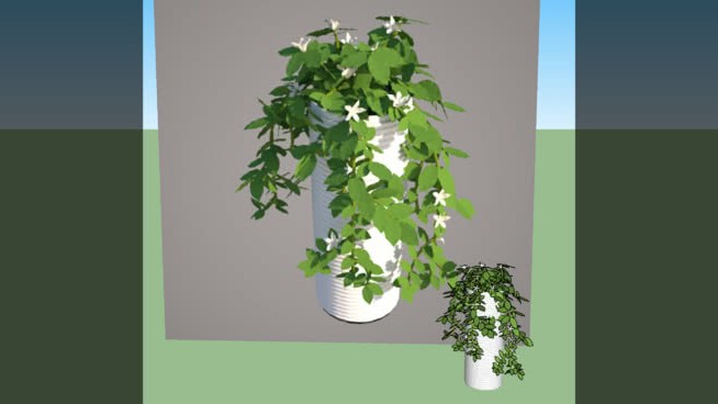 植物花 sketchup植物模型 第1张