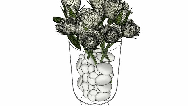 罗萨斯 sketchup植物模型 第1张
