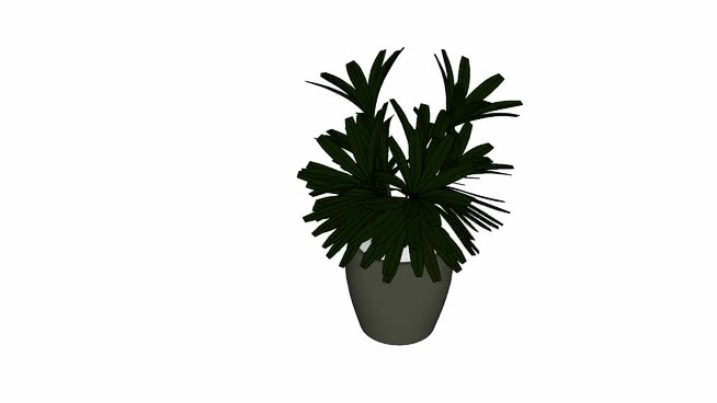 树 sketchup植物模型 第1张