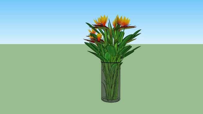 鹤望兰盆栽植物的“鸟的天堂” sketchup植物模型 第1张