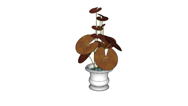 Vray 2.0配置装饰花瓶 sketchup植物模型 第1张