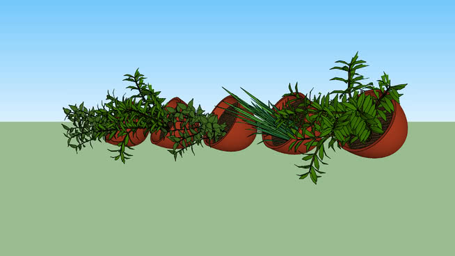 在调味品容器 sketchup植物模型 第1张