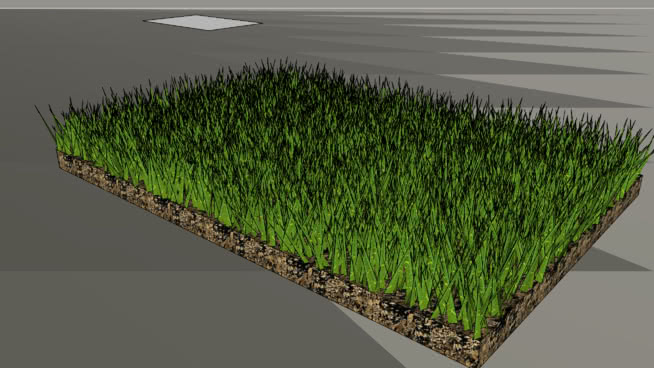 草。 sketchup植物模型 第1张