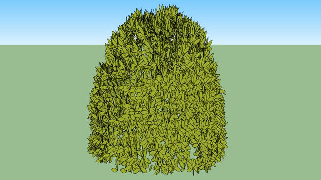 黄杨绿山 sketchup植物模型 第1张