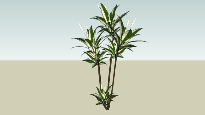 改性盆栽 sketchup植物模型 第1张