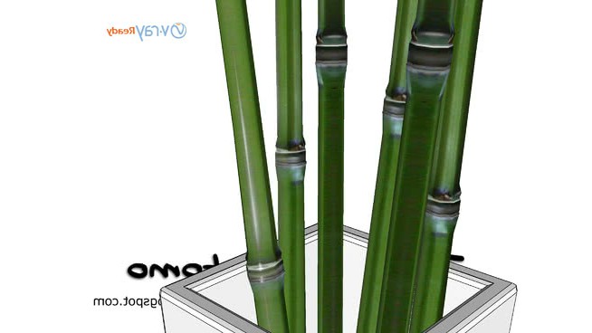 竹装饰花瓶 sketchup植物模型 第1张