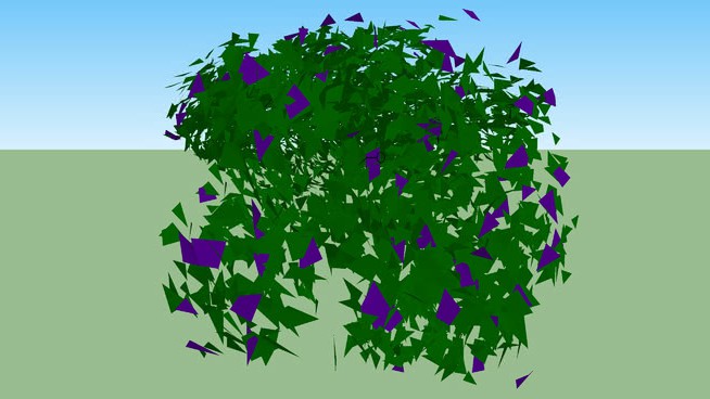 落后的紫色兰塔纳 sketchup植物模型 第1张