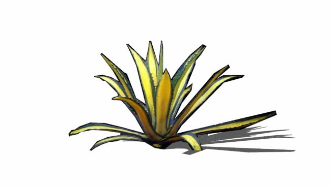 杂色龙舌兰 sketchup植物模型 第1张