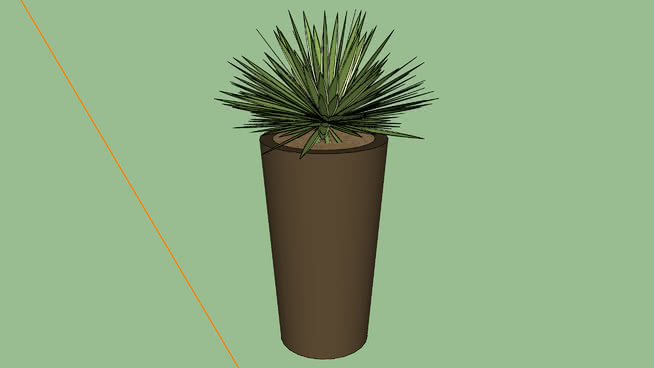 阿夸托 sketchup植物模型 第1张