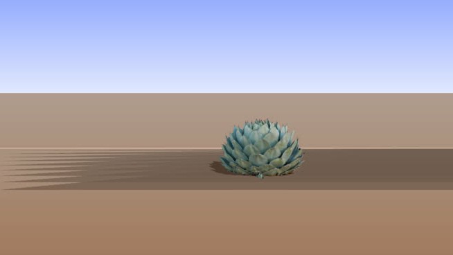 小龙舌兰 sketchup植物模型 第1张