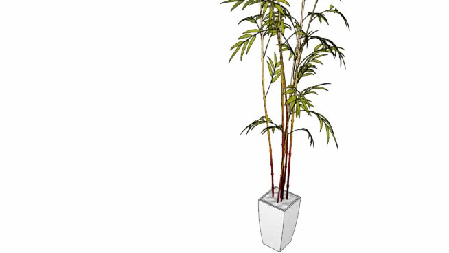 树盆 sketchup植物模型 第1张