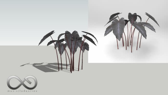 荷花 sketchup植物模型 第1张