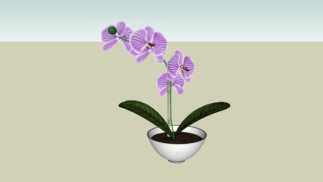 orquÍdea花瓶 sketchup植物模型 第1张