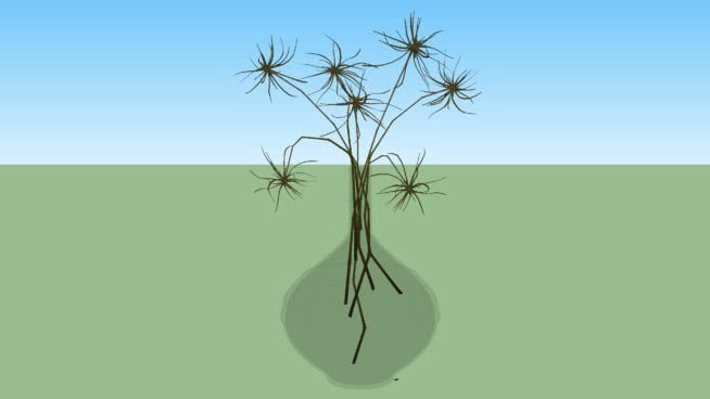 弗洛雷斯塞卡斯 sketchup植物模型 第1张