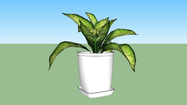 装饰小植物 sketchup植物模型 第1张