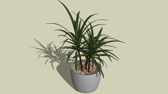 植物盆栽 sketchup植物模型 第1张