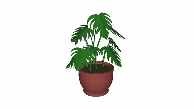 盆栽大蕉植物详述 sketchup植物模型 第1张