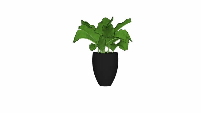 1装饰花盆厂 sketchup植物模型 第1张