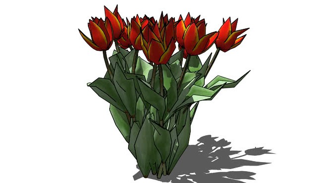 三维tulips sketchup植物模型 第1张