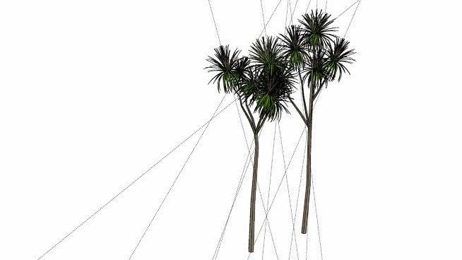 Árvores薄 sketchup植物模型 第1张