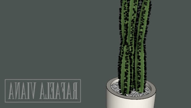 卡科托 sketchup植物模型 第1张
