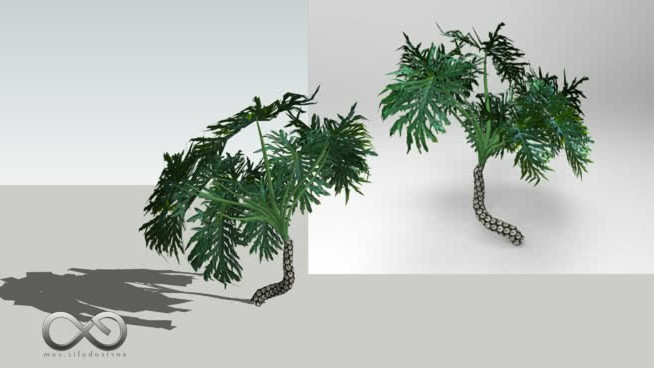 麒麟菜 sketchup植物模型 第1张
