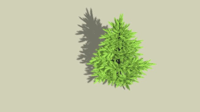 平海罗 sketchup植物模型 第1张