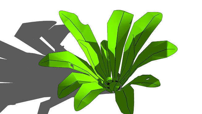 鸟巢蕨 sketchup植物模型 第1张