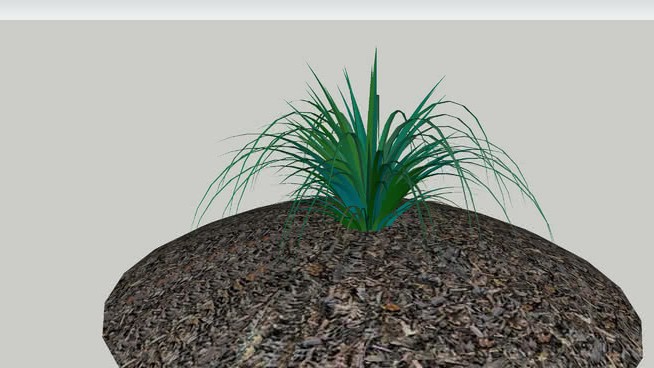 蓝羊茅 sketchup植物模型 第1张