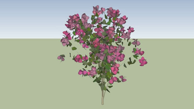 通用3D花卉07型 sketchup植物模型 第1张