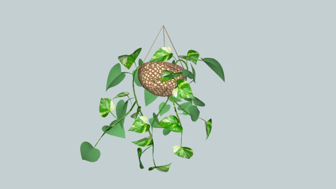 吊篮厂 sketchup植物模型 第1张