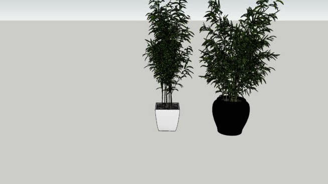 班布斯 sketchup植物模型 第1张