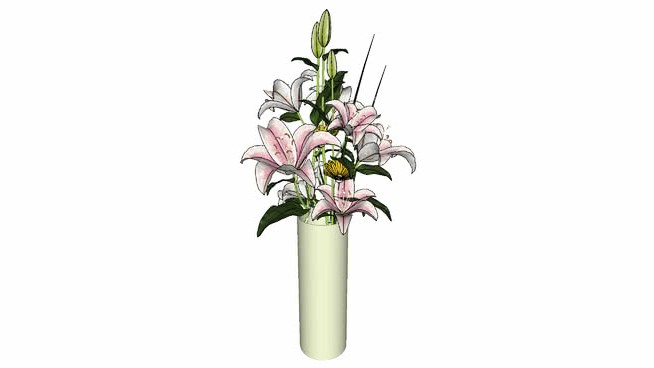 我的lillies 3D sketchup植物模型 第1张
