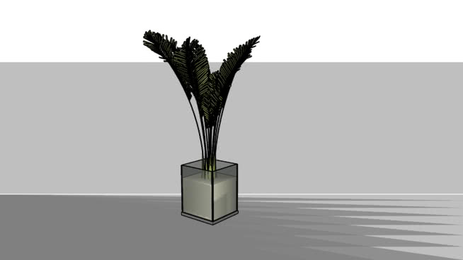 帕尔梅拉 sketchup植物模型 第1张